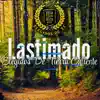 Elegidos de Tierra Caliente - Lastimado - Single